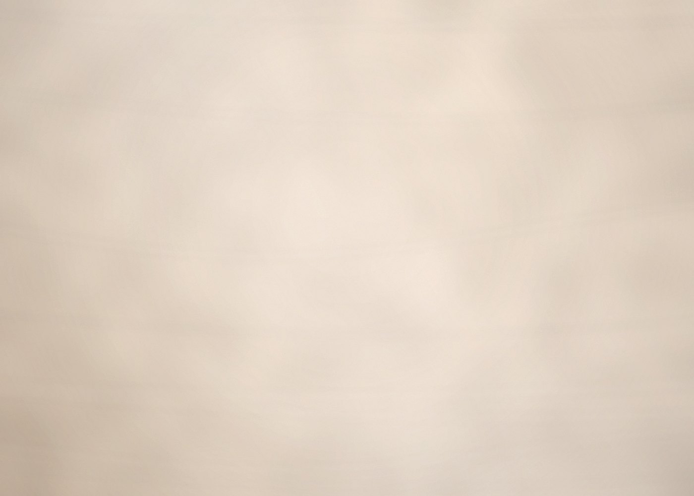 A smooth, freshly finished plaster surface in warm light, the standard Rush & Brush hands back.